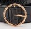 Cirkelketen de de Riemschoenen van Pin Buckle Double O Ring Metal Accessories For Ladies doet Kledingstukken in zakken